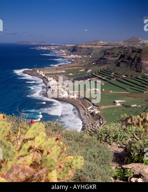 Vue côtière le long de la côte nord de Gran Canaria, Îles Canaries, Espagne. Banque D'Images