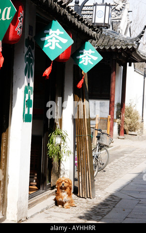 Petit hôtel SUR LES RIVES DE LA CANAL de Suzhou dans la province du Jiangsu, Chine, Banque D'Images