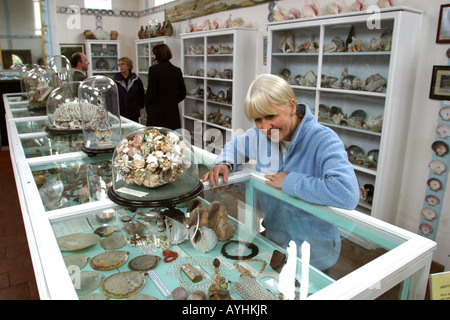 Le Glandford Norfolk Shell Museum Banque D'Images