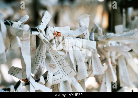 Dire de Fortune (omikuji), qui sont pensés pour nier la mauvaise chance au temple Senso-ji, Asakusa, Tokyo, Japon. Banque D'Images