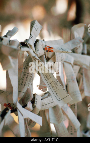 Dire de Fortune (omikuji), attaché à un fil dédié à nier la mauvaise chance à atSenso-ji, temple, Tokyo Japon. Banque D'Images