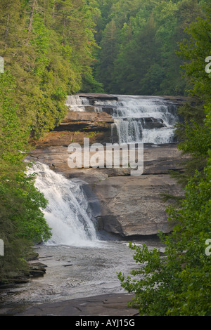 Chambre tombe dans Dupont State Forest en Caroline du Nord, États-Unis d'Amérique Banque D'Images