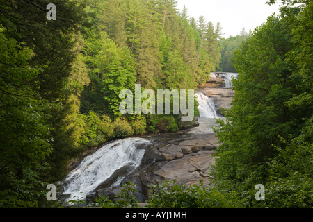 Chambre tombe dans Dupont State Forest en Caroline du Nord, États-Unis d'Amérique Banque D'Images