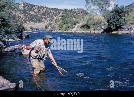 Un pêcheur de mouche pour la truite brune allemande jette sur la rivière Arkansas dans le sud du Colorado dans les Rocheuses Banque D'Images