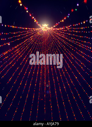 Sentier de lumières et arbre de noël Austin Texas Banque D'Images