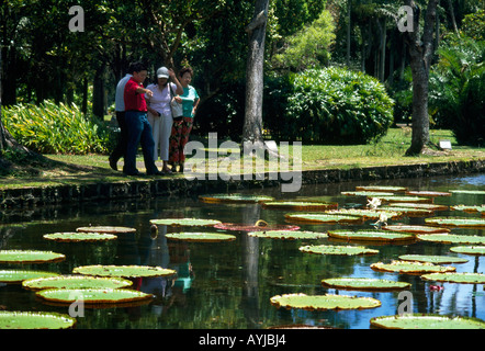 Jardins botaniques royaux, Ile Maurice Banque D'Images