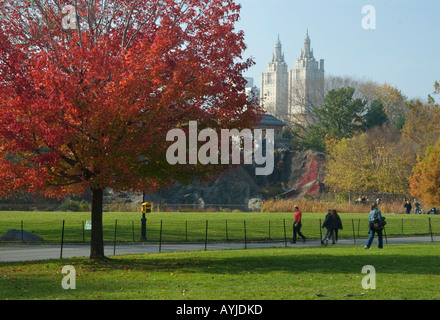 Feuillage d'automne dans Central Park Banque D'Images