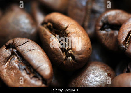 Les grains de café, Coffee Bean Banque D'Images