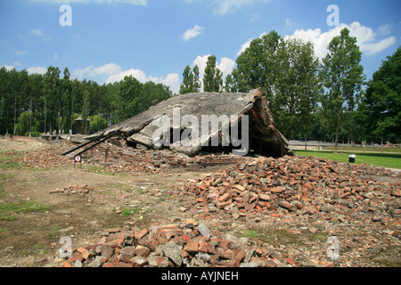 La toiture de la zone de crématorium creamtion II à l'ancien camp de concentration Nazi à Auschwitz Birkenau. Banque D'Images