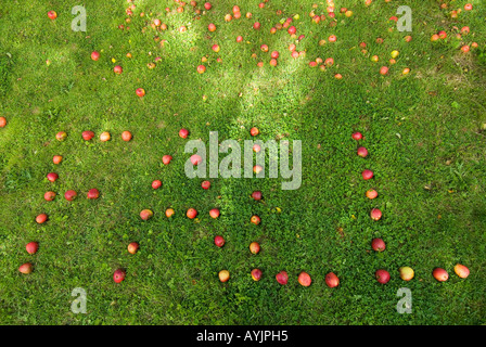Les pommes rouges qui épissent le mot TOMBENT sur l'herbe. Devon. ROYAUME-UNI Banque D'Images