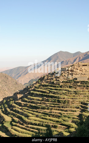 Village berbère, montrant les zones agricoles de l'Atlas, Maroc Banque D'Images