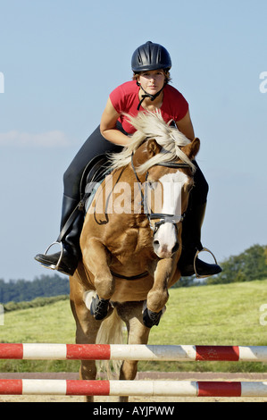 Jeune fille de 15 ans avec saut de cheval Haflinger Banque D'Images