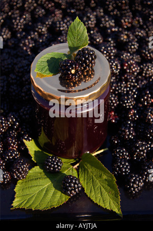 Confiture de mûres fraîches entre Banque D'Images