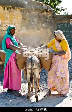 L'INDE UDAIPUR Deux femmes indiennes vêtues de beaux saris colorés travailler la construction de routes de gravier de chargement sur des ânes Banque D'Images