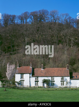 Cottage en pierre blanchie à la chaux, rievaulx village, le seigle dale, près de Helmsley, North York Moors, North Yorkshire, Angleterre, Royaume-Uni. Banque D'Images