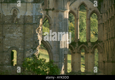 Ruines de l'abbaye de Rievaulx, Seigle Dale, près de Helmsley, North Yorkshire, Angleterre, Royaume-Uni. Banque D'Images