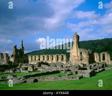 Ruines de Byland Abbey, près du village de Coxwold, North Yorkshire, England, UK Banque D'Images