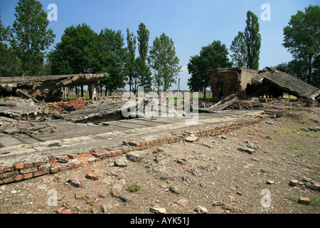 Les ruines de crémation crématorium II à l'ancien camp de concentration Nazi à Auschwitz Birkenau. Banque D'Images