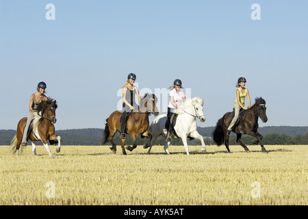 Quatre cavaliers sur chevaux Islandais Banque D'Images