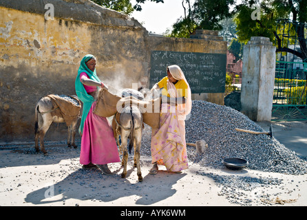 L'INDE UDAIPUR Deux femmes indiennes vêtues de beaux saris colorés travailler la construction de routes de gravier de chargement sur des ânes Banque D'Images