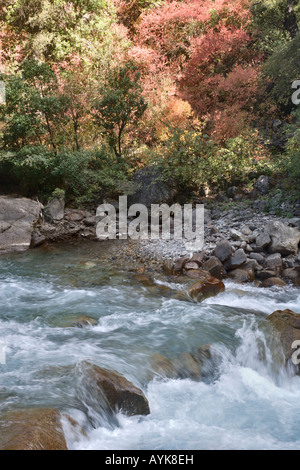 Ruisseau de montagne à l'automne, Yongzhi, Xian de Dêqên, Yunnan, Chine Banque D'Images