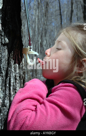 Girl drinking la sève des érables Banque D'Images