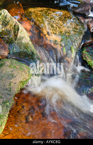 Pierres colorées dans l'Oder Brook près de Torfhaus, parc national de Harz, Sachsen Anhalt, Allemagne Banque D'Images