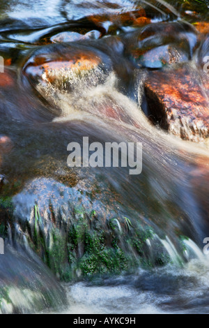 Pierres colorées dans l'Oder Brook près de Torfhaus, parc national de Harz, Sachsen Anhalt, Allemagne Banque D'Images