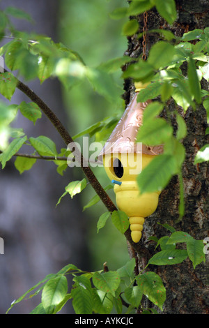 Une petite cabane jaune accroché à un tronc d'arbre Banque D'Images