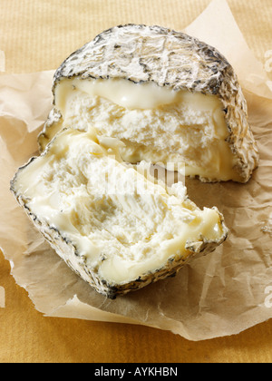 Les agriculteurs français bio fromage de chèvre cendrée coupe sur un fond blanc. Normandie Banque D'Images