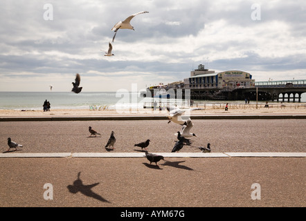 Front de mer de Bournemouth et de la jetée. Le Dorset. UK Banque D'Images