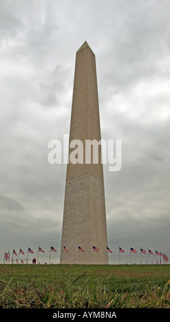 Le Monument de Washington, Washington DC USA Banque D'Images