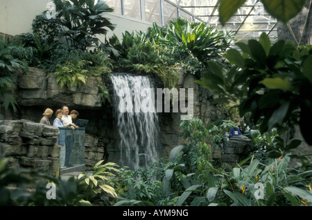 Une cascade dans l'écosystème de la forêt tropicale du Biodôme de Montréal, Montréal, Québec, Canada Banque D'Images