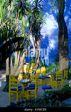 Jardins et bar du Musée Frida Kahlo dans la zone de Mexico Coyoacan Banque D'Images