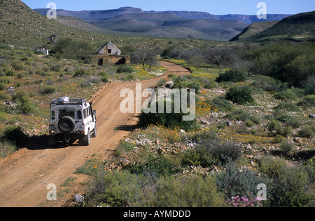 L'Afrique du Sud Fleurs sauvages Cottage Namaqualand Biedouw RSA Valley Banque D'Images