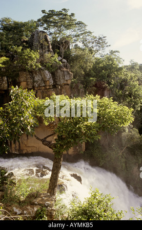 Nyangombe Falls, Nyanga National Park, Eastern Highlands, Zimbabwe, Afrique du Sud Banque D'Images