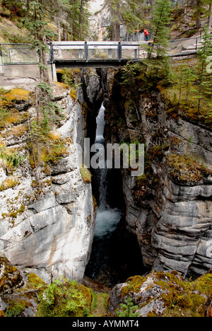 Le canyon Maligne, parc national Jasper Rockies Alberta Canada Banque D'Images