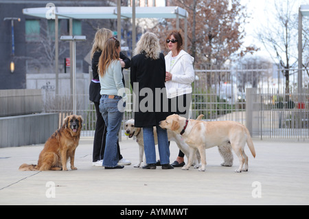 Les chiens et leurs propriétaires à un chien courir à Battery Park City, un quartier de Manhattan. Banque D'Images