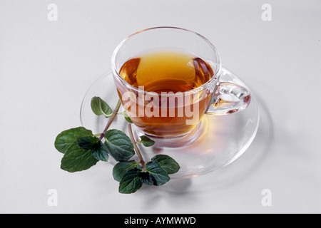 La menthe poivrée (Mentha x piperita), tasse de thé et feuilles fraîches, studio photo Banque D'Images