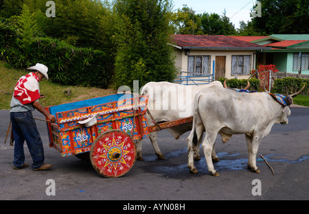 Peint avec les paysans pauvres et les bœufs bœufs sur route en milieu rural Costa Rica Banque D'Images