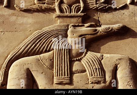 Détail paysage horizontal de la sculpture sur pierre hiéroglyphique égyptien de dieu Sobek, Kom Ombo temple, Egypte Afrique du Nord Banque D'Images