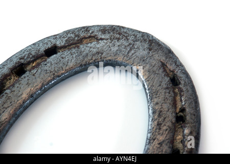 Horseshoe macro isolé Banque D'Images