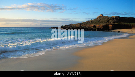 St Ives Porthmeor plage de surf dans soir soleil d'été à la recherche de l'île Cornwall England UK GB British Isles Banque D'Images