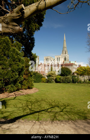 La Cathédrale de Chichester vu depuis les jardins du Palais de l'Évêque Banque D'Images