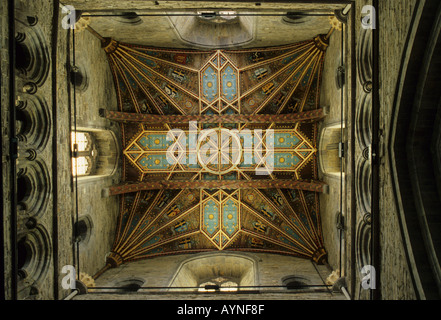 À l'intérieur détail de la tour dame Chapelle Saint Davids Dyfed Cathédrale Galles UK Europe Banque D'Images