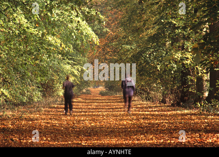 UNITED KINGDOM. Mère et fils adolescent le jogging sur la longue promenade au Parc Shotover Country près de Wheatley dans l'Oxfordshire. Banque D'Images