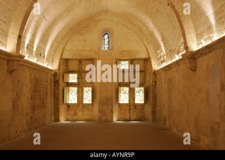 Galerie voûtée dans le Cloître de Saint Trophime, Arles, Provence, France Banque D'Images