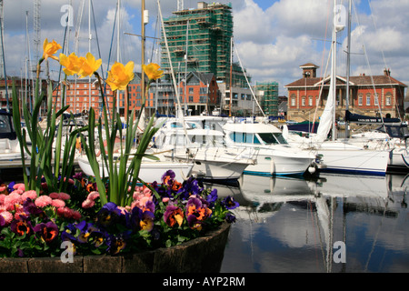 Fleurs de Printemps Ipswich Haven Marina est le 250-installation d'amarrage situé dans le bassin à flot dans le port d'Ipswich. Banque D'Images