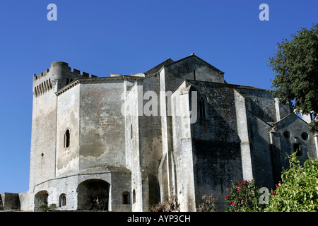 Abbaye de Montmajour, près de Arles, Bouches-du-Rhône, Provence, France Banque D'Images
