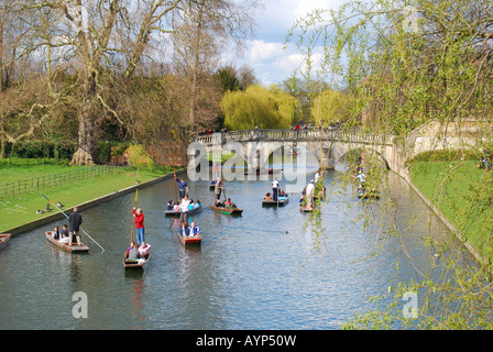 Barque sur étudiants Rivière Cam, Cambridge, Cambridgeshire, Angleterre, Royaume-Uni Banque D'Images